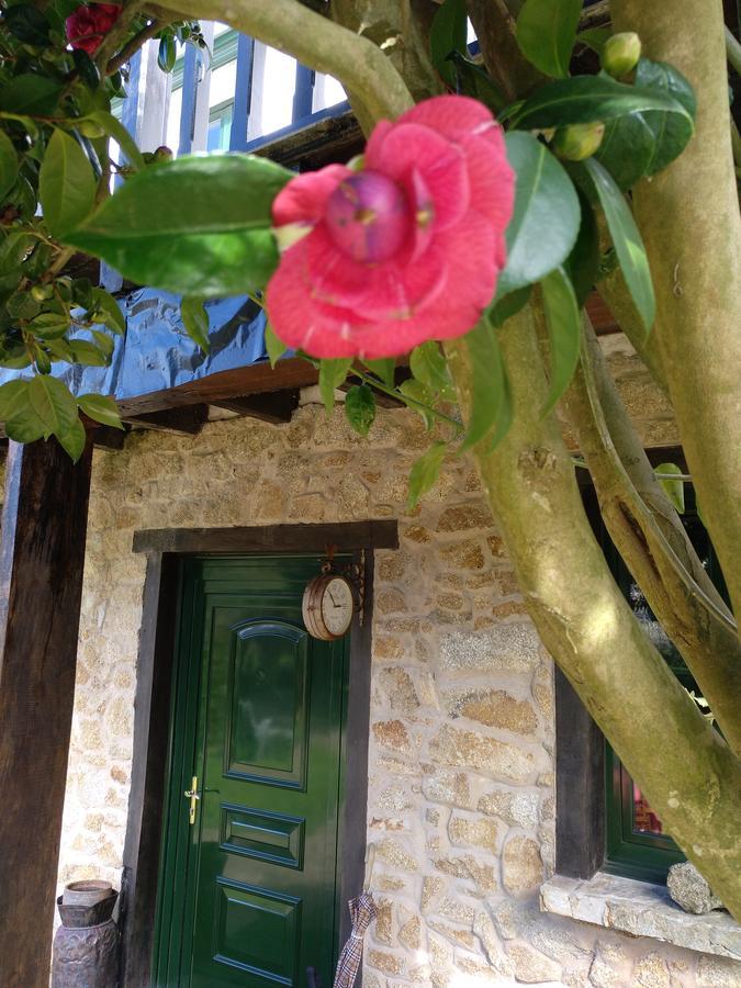 Mar Y Montana Guest House Ferrol Exterior photo